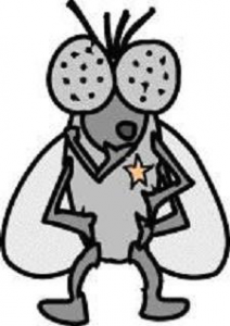 De Bromvliegers Club Logo